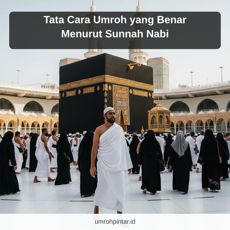 Ilustrasi Perbedaan haji ONH reguler vs plus vs furoda - Tata Cara Umroh yang Benar Menurut Sunnah Nabi